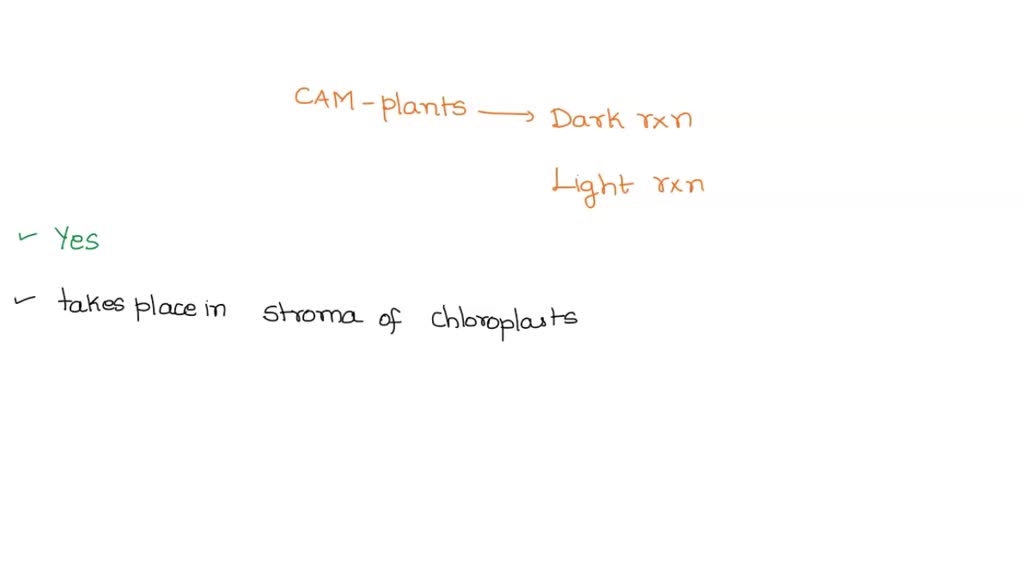 SOLVED can plants use artificial sources of light for the process of