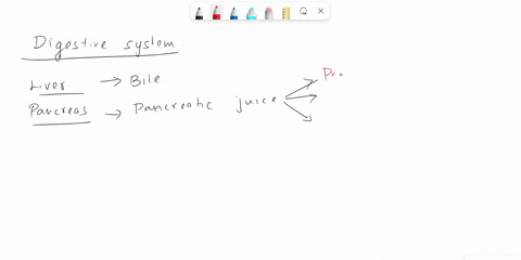 which-pair-of-digestive-enzymes-is-secreted-by-pancreas-llipase-and-lactase-0l-bile-salts-and-trypsin-lamylase-and-pepsin-0lipase-and-amylase-31072