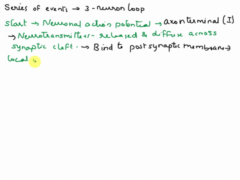 procedure-time-to-trace-pp299-300-startncuronal-action-potential-reaches-the-axon-terminal-of-ncuron-1-are-released-from-by-diffuse-across-the-neurotransmitters-bind-to-the-postsynaptic-loca-29317