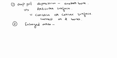 these-bone-features-allow-bones-to-articulate-and-form-joints-a-relatively-deep-pit-or-depression-that-can-articulate-with-another-bone-enlargement-on-the-end-of-a-bone-rounded-process-that-04807