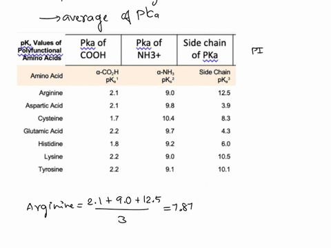 homework-try-to-calculate-the-pl-of-the-amino-acids-pk-values-of-polvfunctiona-amino-acids-pka-of-cooh-pka-of-nh3-side-chain-of-pka-a-nh-side-chain-pk-2-pk-90-125-pi-a-cozh-pk-amino-acid-arg-19755