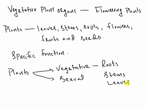 1-how-do-each-of-the-vegetative-plant-organs-contribute-to-the-success-of-flowering-plants-2-how-do-modifications-of-vegetative-organs-increase-fitness-10631