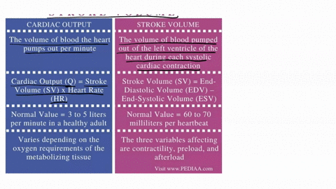 14-what-is-the-difference-between-stroke-volume-and-cardiac-output-15-what-factors-influence-stroke-volume-16-what-factors-influence-cardiac-output-17-what-is-the-frank-starling-law-18-what-33012