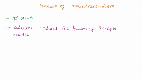 what-event-triggers-the-release-of-neurotransmitters-calcium-induces-the-fusion-of-synaptic-vesicles-with-the-presynaptic-membrane-sodium-induces-the-fusion-of-synaptic-vesicles-with-the-pre-92831