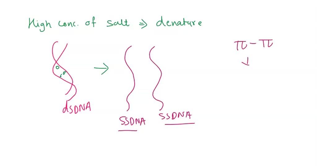 SOLVED: Consider the graph below: It shows the melting of a short ...