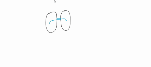 the-transfer-of-genes-during-bacterial-conjugation-involves-rigid-tubular-appendages-called-flagella-cilia_-fimbriae-_-periplasmic-flagella-axial-filaments-sex-pili-72226