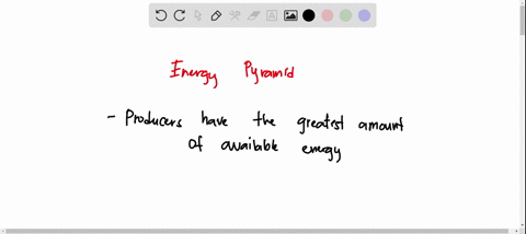 which-statements-describe-the-energy-in-a-food-web-select-three-options-when-an-organism-eats-another-organism-it-loses-energy-producers-have-the-greatest-amount-of-available-energy-energy-c-07513