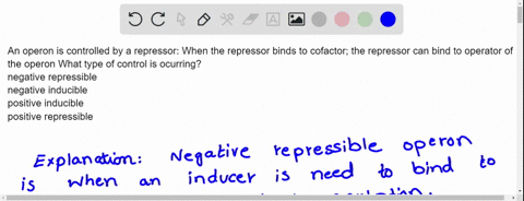 an-operon-is-controlled-by-a-repressor-when-the-repressor-binds-to-cofactor-the-repressor-can-bind-to-operator-of-the-operon-what-type-of-control-is-ocurring-negative-repressible-negative-in-96447