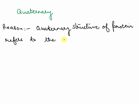 question-15-023-pts-what-is-the-level-of-protein-structure-indicated-by-the-entire-illustration-showing-4-protein-subunits-binding-together-secondary-tertiary-primary-quaternary-17566