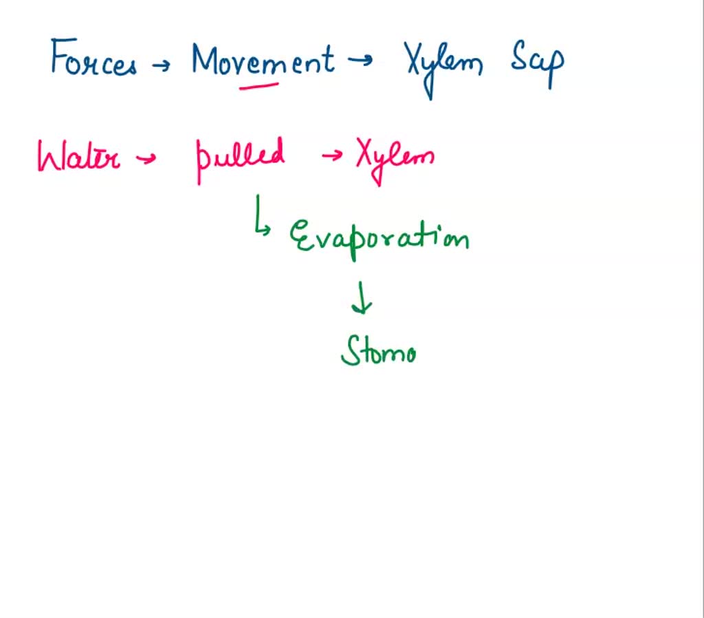 SOLVED A heating sleeve was placed around the trunk of = small tree at