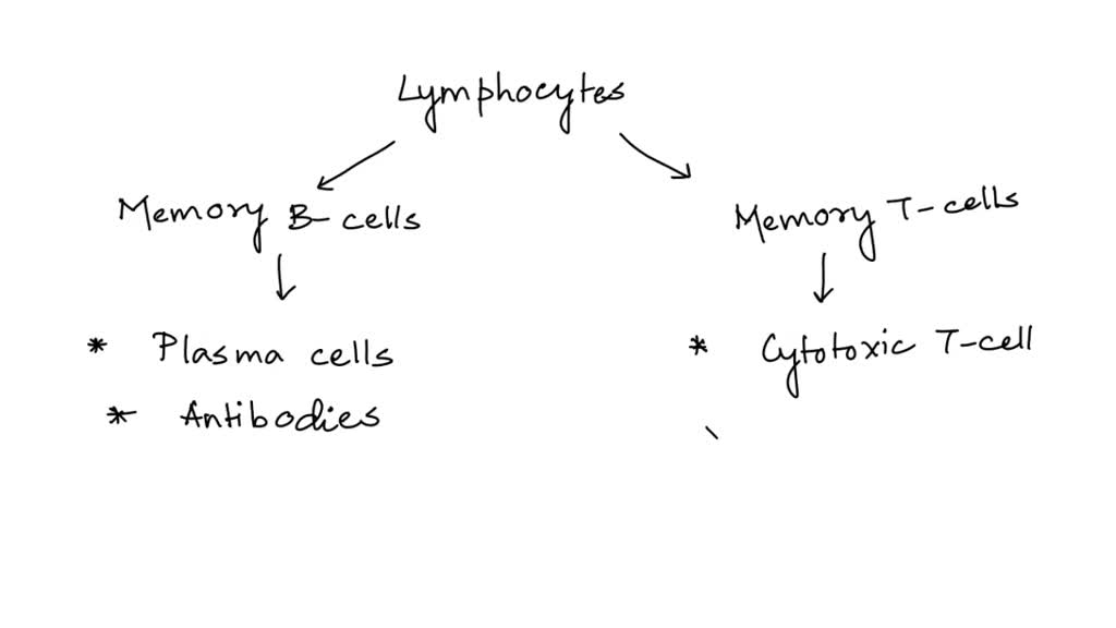 SOLVED Use the following terms to complete the concept map for