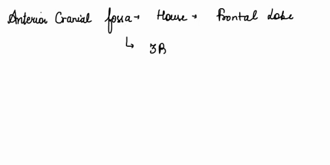 sort-the-following-anatomical-structures-in-order-to-identify-the-correct-sequence-that-food-would-pass-through-the-body-starting-with-ingestion-by-clicking-and-dragging-the-labels-to-the-co-59414