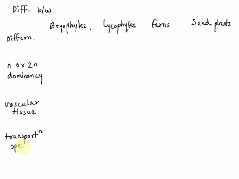 what-is-the-major-difference-between-bryophytes-lycophytes-ferns-and-seed-plants-how-do-they-differ-in-terms-of-haploid-vs-diploid-dominant-how-do-they-differ-in-presence-of-vascular-tissue-67628