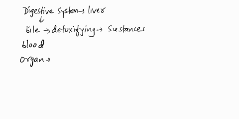 identify-the-organ-in-the-digestive-system-responsible-for-producing-bile-and-for-detoxifying-molecules-absorbed-from-the-digestive-system-into-the-blood-duodenum-gallbladder-pancreas-liver-42696