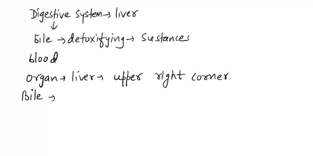 SOLVED Accessory organ that produces alkaline digestive juices. Bile
