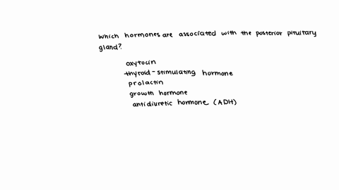 which-hormones-are-associated-with-the-posterior-pituitary-gland-oxytocin-thyroid-stimulating-hormone-prolactin-growth-hormone-antidiuretic-hormone