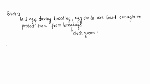 birds-lay-eggs-that-have-much-harder-shells-than-reptile-what-is-most-likely-the-main-function-of-the-hard-shell-a-to-feed-the-bird-as-it-develops-b-to-provide-camouflage-from-predators-c-to-58762