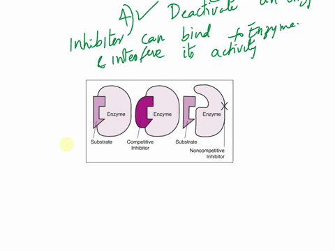 what-is-the-function-of-an-inhibitor-in-an-enzyme-substrate-reaction1-activating-the-substrate2-deactivating-the-product3-activating-an-enzyme4-deactivating-an-enzyme-64402