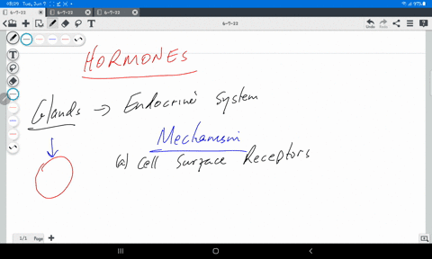 write-down-the-mechanism-of-action-of-hormones-62745