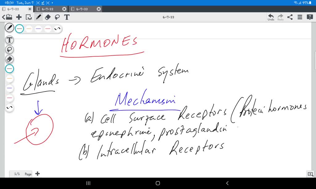 SOLVED Use A Hormone And Feedback Mechanism Him In The Same Sentence