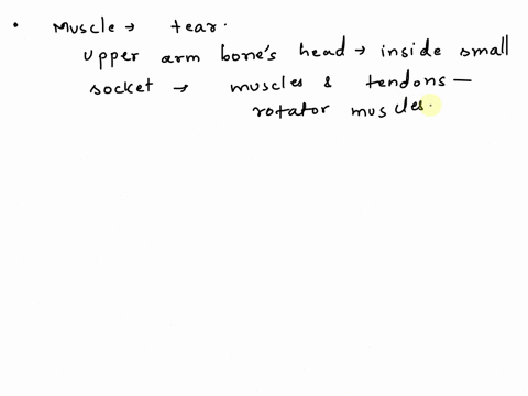 88-2020-mainad-1249-wd-lab8-ddv-musc-upper-limb-define-vf-supination-whicis-2f-and-pronation-muscles-are-most-ouytserotcted-afiero-lab-arm-likely-ha-the-other-shoulder-jw-tear-with-of-the-in-45502
