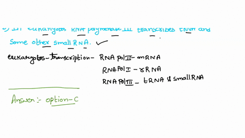 which-of-the-following-about-eukaryotic-transcription-is-true-one-rna-polymerase-transcribes-all-genes-in-eukaryotes-initiation-of-transcription-involves-binaing-of-sigma-subunit-of-rna-poly-09849