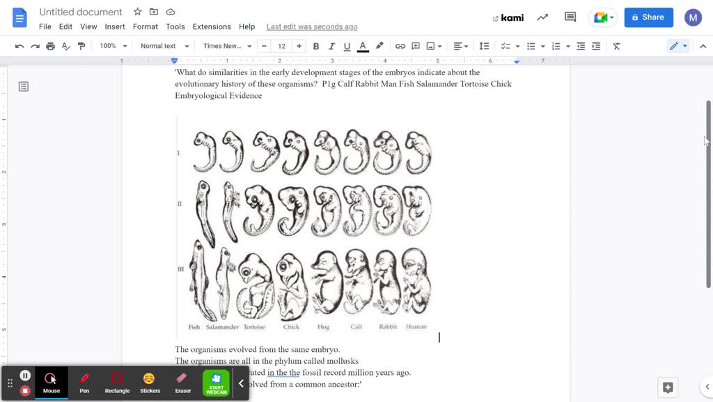 similarities in early development of embryos