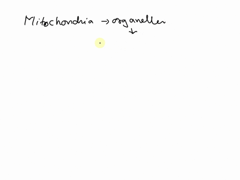 what-does-the-presence-of-many-mitochondria-imply-about-a-cells-energy-requirements-37289