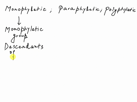 the-evolutionary-history-of-group-of-organisms-can-be-represented-in-a-branching-diagram-called-phylogenetic-treeas-the-name-suggests-the-branching-pattern-often-matches-how-taxonomist-have-20285