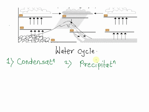 fill-in-the-blanks-with-the-correct-word-for-the-water-cycle-you-can-refer-to-all-of-your-class-readings-and-recordings-to-complete-this-assignment-the-water-cycle-the-hydrologic-cycle-tttt-83442