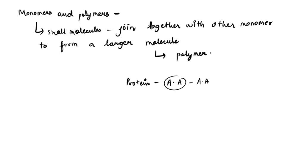 SOLVED: Macromolecules Worksheet Explain how monomers are related to ...