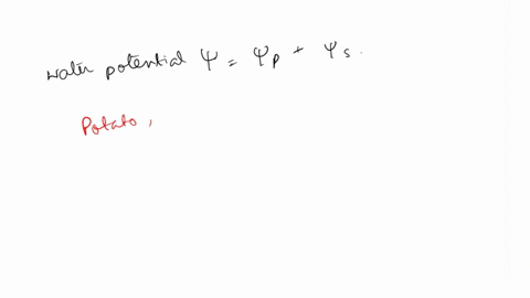 water_potential-vp-v-pressure-potential-solute-potential-assuming-standard-atmospheric-pressure-which-of-the-following-is-true-choose-1-answer-the-potato-cube-has-a-water-potential-of-0-bar-43177