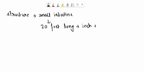 52-which-structure-is-highlighted-multiple-choice-stomach-pancreas-large-intestine-spleen-small-intestine-22616