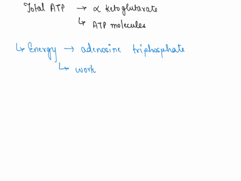 state-the-total-number-of-atp-molecules-the-one-of-these-converted-alpha-ketoglutarate-molecules-can-produce-and-explain-how-all-the-atp-molecules-are-generated-20729