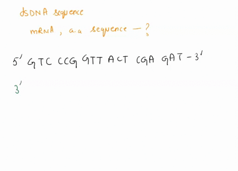 3-the-top-strand-of-the-double-stranded-dna-shown-below-is-the-template-strand-a-what-is-the-sequence-of-the-mrna-that-would-be-produced-during-transcription-label-the-5-and-3-ends-and-show-35478