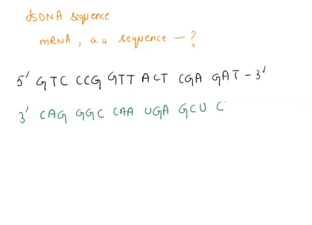 SOLVED: 3. The top strand of the double stranded DNA shown below is the ...