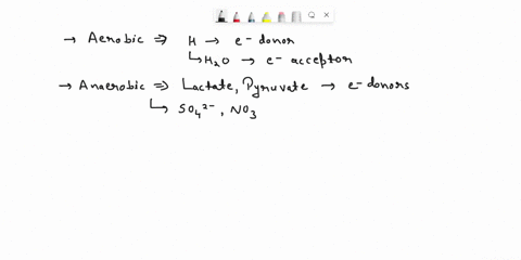 1-explain-the-source-of-electrons-and-the-terminal-electron-acceptor-in-aerobic-respiration-anaerobic-respiration-lithotrophy-and-photolysis-2-how-do-diverse-forms-of-anaerobic-respiration-a-57244