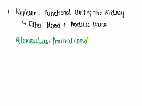tion-27-which-of-the-following-is-the-proper-sequence-of-structures-in-the-nephron-t-answered-d-out-of-100-select-one-o-aglomerulusproximal-convoluted-tubuledistal-convoluted-tubulenephron-l-65499