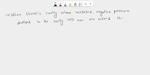 describe-the-functional-relationships-between-volume-changes-and-gas-flow-into-and-out-of-the-lungs-96627