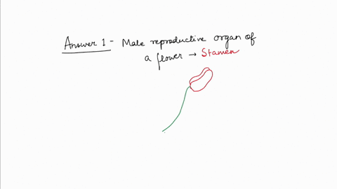 answer-the-following-questions-involving-angiosperms-1-which-parts-of-the-flower-are-male-2-which-parts-of-the-flower-are-female-3-which-part-of-the-flower-contains-the-pollen-4-which-part-o-47849