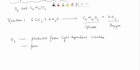 question-35-4-points-saved-consider-the-main-products-of-photosynthesis-oxygen-and-glucose-for-each-of-products-explain-howwhen-they-are-made-during-photosynthesis-your-these-two-answer-shou-30863