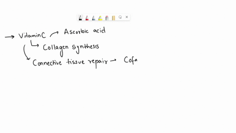 because-vitamins-carry-out-various-functions-in-our-body-deficiency-of-different-vitamins-can-have-varied-effects-on-the-body-vitamin-c-aids-the-synthesis-of-collagen-and-plays-a-role-inblan-44417