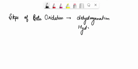 the-series-of-steps-in-beta-oxidation-that-are-similar-from-succinate-onward-in-the-tca-cycle-involve-fatty-acyl-coa-oxidation-hydration-oxidation-and-thiolysis-fatty-acyl-coa-oxidation-dehy-43041