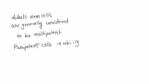 adult-stem-cells-are-usually-pluripotent-true-or-false-true-false-81386