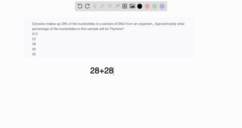 cytosine-makes-up-28-of-the-nucleotides-in-a-sample-of-dna-from-an-organism_-approximately-what-percentage-of-the-nucleotides-in-this-sample-will-be-thymine-012-22-28-40-56-34057