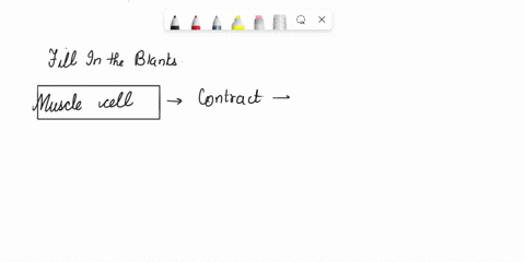 a-muscle-cell-contracts-when-_________-filaments-and-________-filaments-slide-past-one-another-35007