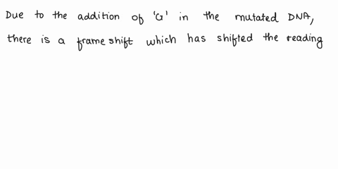 34-imagine-that-there-will-be-transcription-followed-by-translation-of-the-sequences-shown-below-wild-type-dna-template-strand-5-gcaggtagtcatgg-3-mutated-dna-template-strand-5-gcaggtaagtcatg-49998