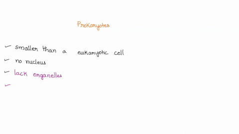 describe-the-structures-that-are-characteristic-of-a-prokaryote-cell-41124