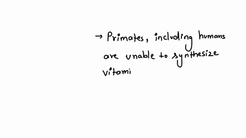 q9which-one-of-the-following-statements-is-correct-the-vitamin-c-synthesis-pathway-has-been-lost-in-invertebrates-is-found-in-the-kidneys-of-fish-switched-from-the-liver-to-kidneys-in-mammals-has-been