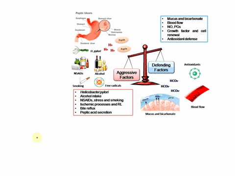 you-have-been-assigned-to-care-for-mr-p-a-44-year-old-patient-recently-diagnosed-with-peptic-ulcer-disease-he-has-a-15-year-history-of-smoking-cigarettes-and-takes-ibuprofen-motrin-regularly-82584